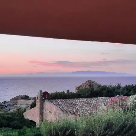 Oliva Costa Paradiso