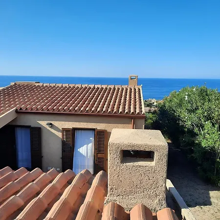 Oliva Costa Paradiso
