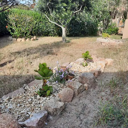 Holiday home Oliva Costa Paradiso
